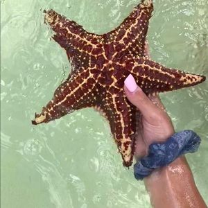 Meet your Posher, Kira